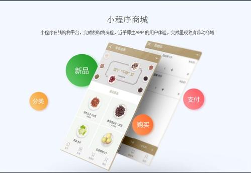 店面小程序如何制成商城？